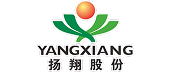 揚(yáng)翔股份