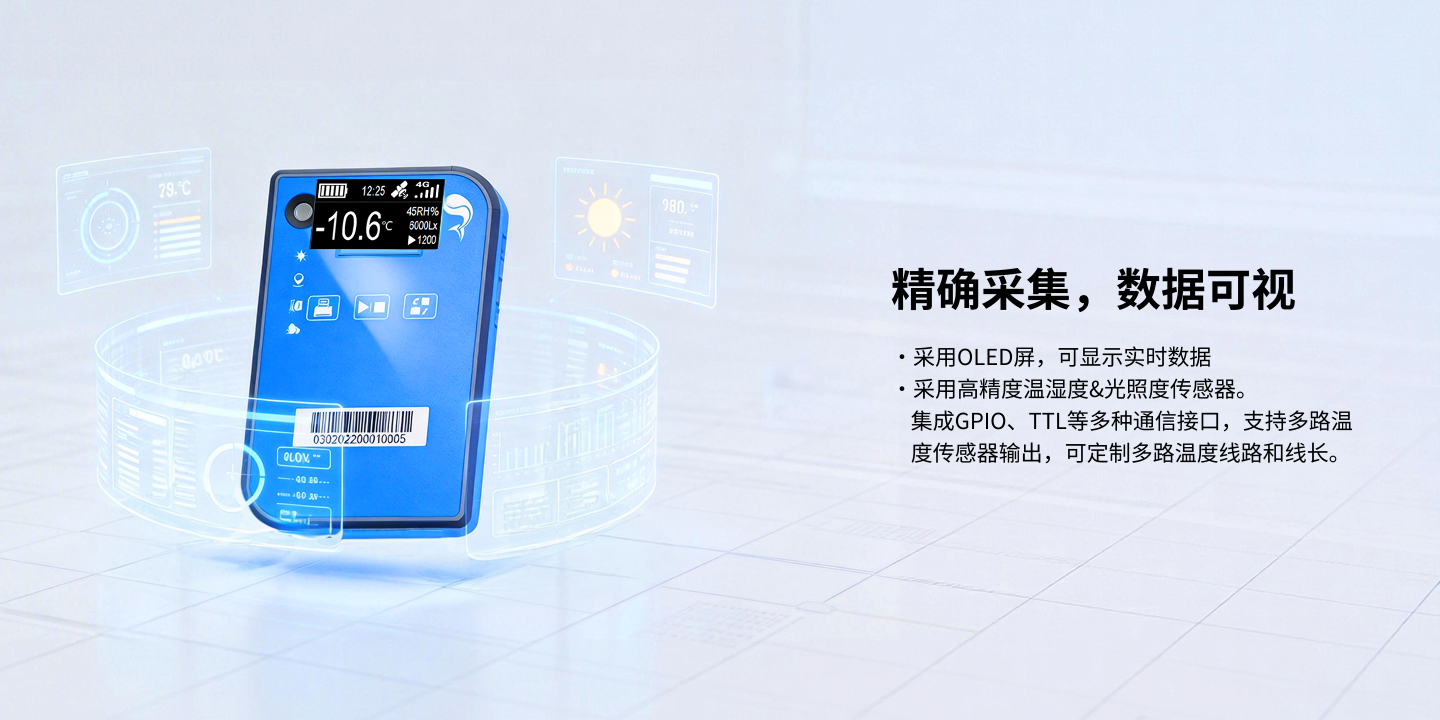 便攜冷鏈車載國際版記錄儀P3A-1IY2