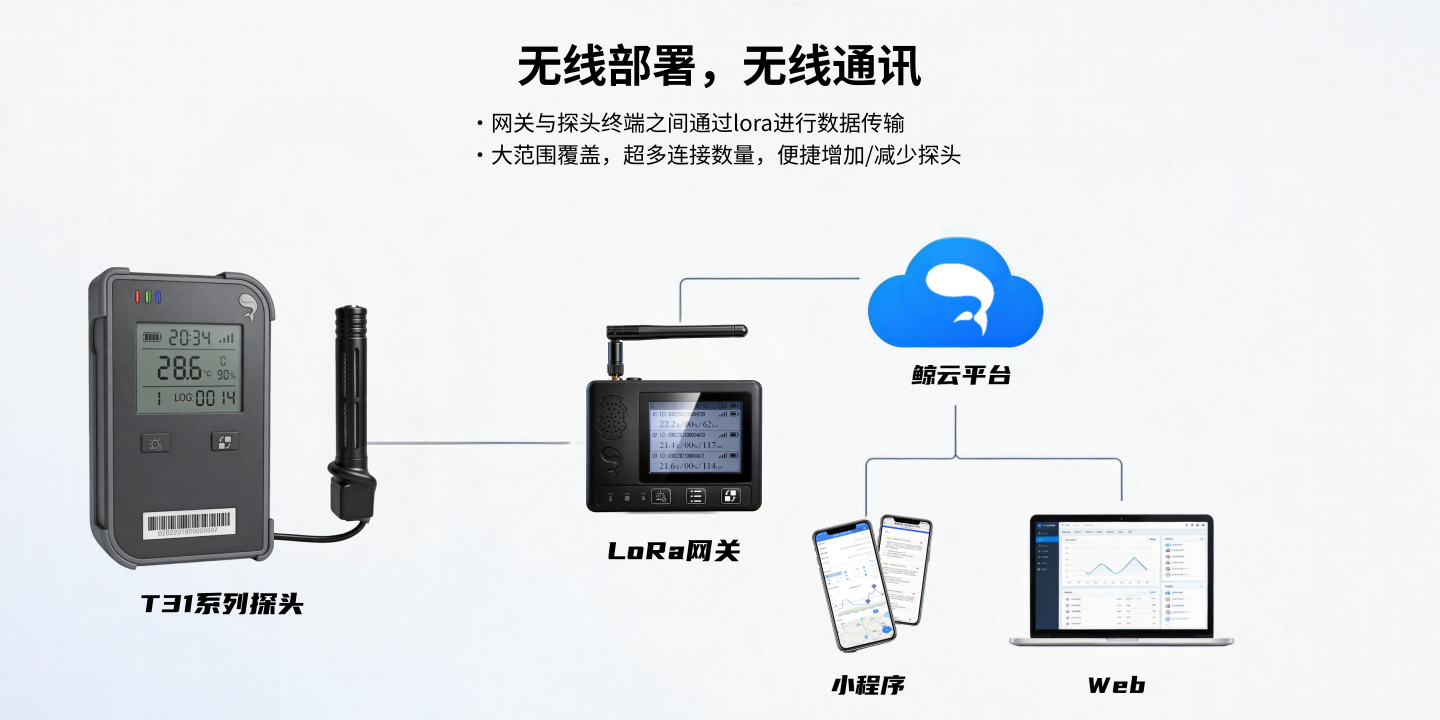 溫度、濕度、二氧化碳三合一探頭，鯨鏢系列可視數據采集傳感器、遠程監控鯨云平臺